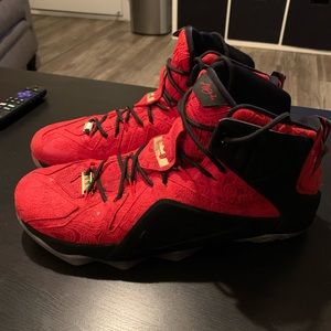 Nike Lebron 12 Xii Ext Red Paisley Size 12